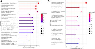 Clinacanthus nutans extract lowers periodontal inflammation under high-glucose conditions via inhibiting NF-κB signaling pathway